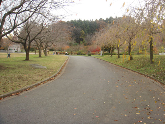 歩道です。広くていいですね。