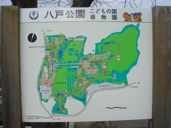 マップ
